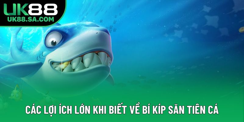 Các lợi ích lớn khi biết về bí kíp săn tiên cá Các lợi ích lớn khi biết về bí kíp săn tiên cá