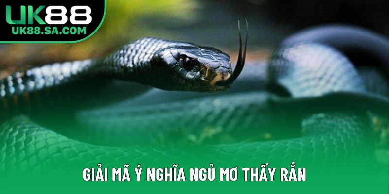 Giải mã ý nghĩa ngủ mơ thấy rắn